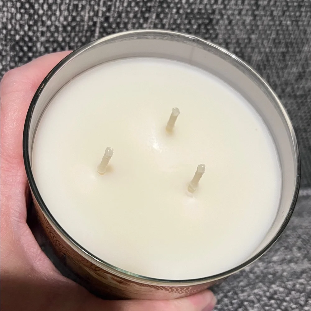 NWT Goose Creek Toasty Pumpkin Toddy 3-Wick Candle